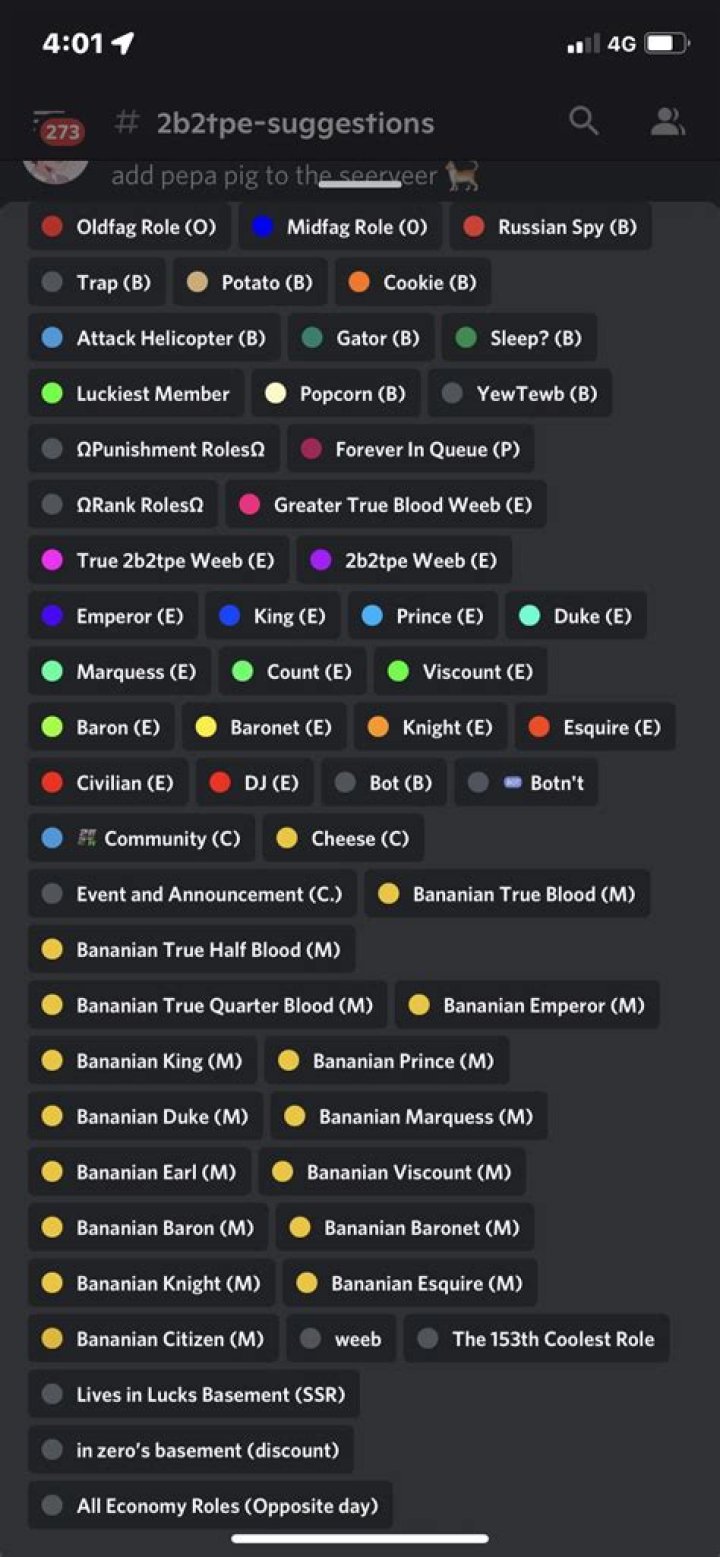 What is the highest role in Discord?