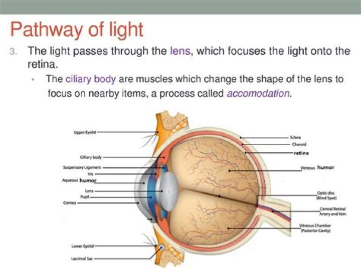 What is the hole through which light enters the camera called?