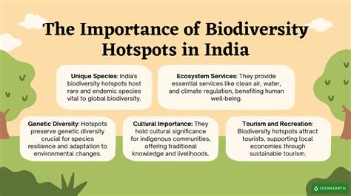 What is the importance of biodiversity hotspots and sacred groves?