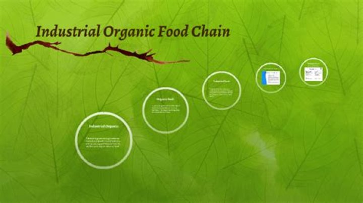 What is the industrial organic food chain?