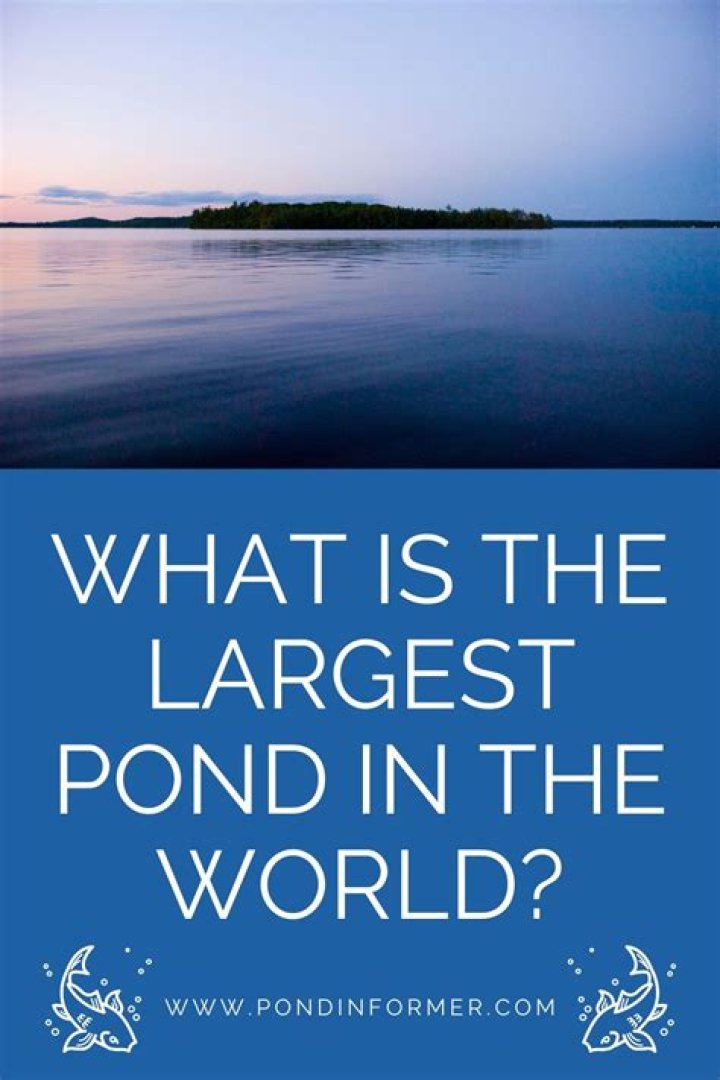What is the largest pond in the world?