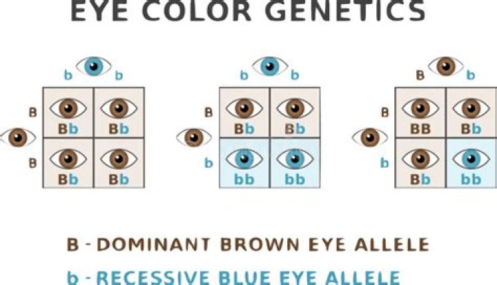 What is the least dominant eye color?