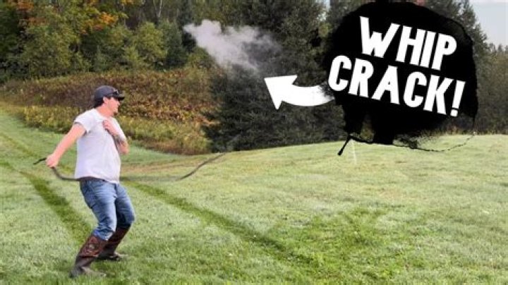 What is the loudest whip?