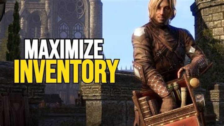 What is the max inventory space in Botw?