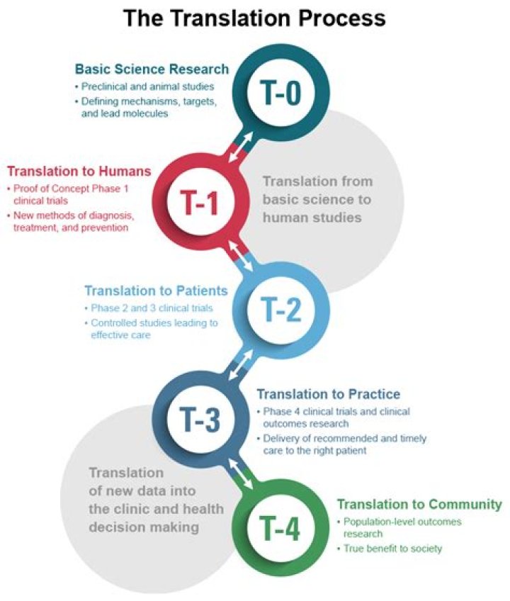 What is the meaning of translational?