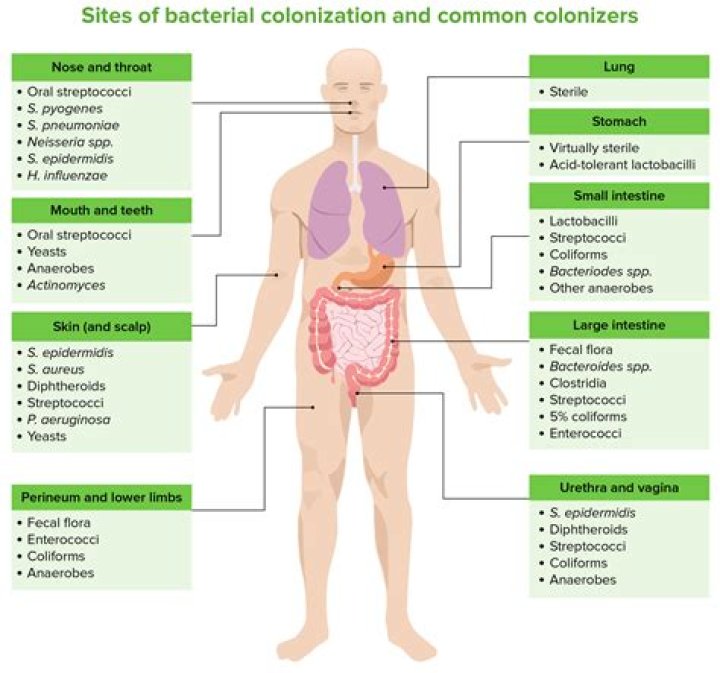 What is the most common entry site for infection?