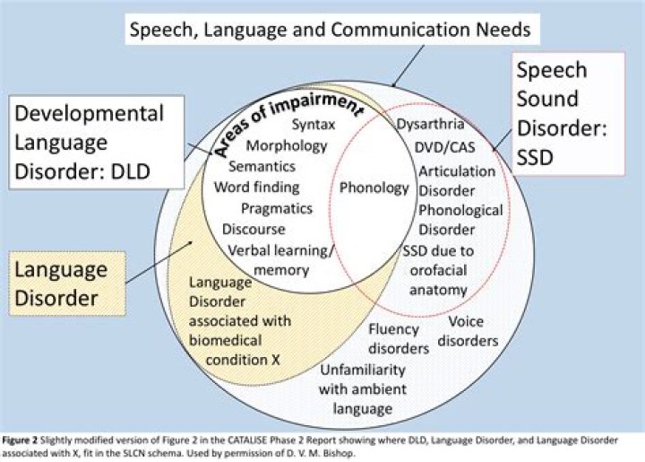 What is the most common speech disorder?