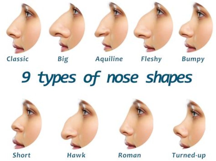 What is the most desirable nose?