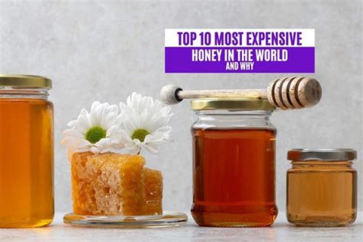 What is the most expensive honey?