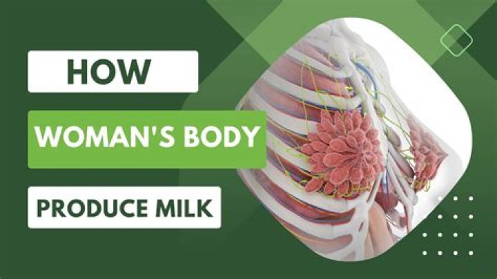 What is the most milk a woman can produce?