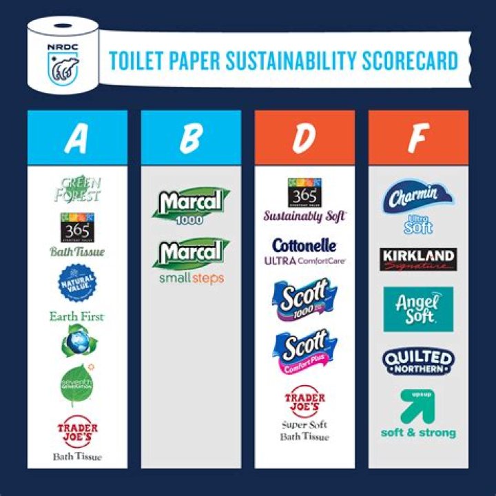 What is the most sustainable toilet paper?