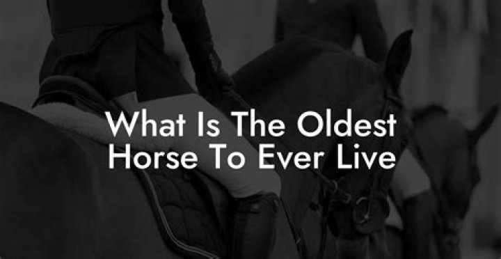 What is the oldest horse?