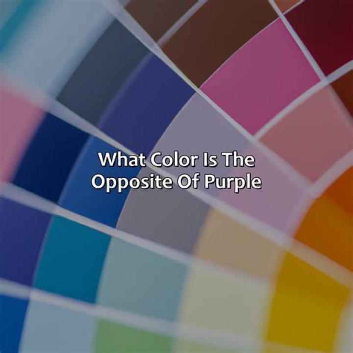 What is the opposite of toilet?