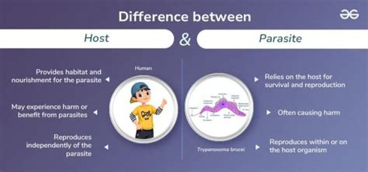 What is the parasite in Ragnarök?