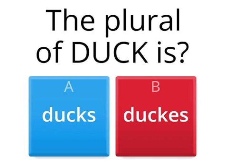What is the plural of duck?