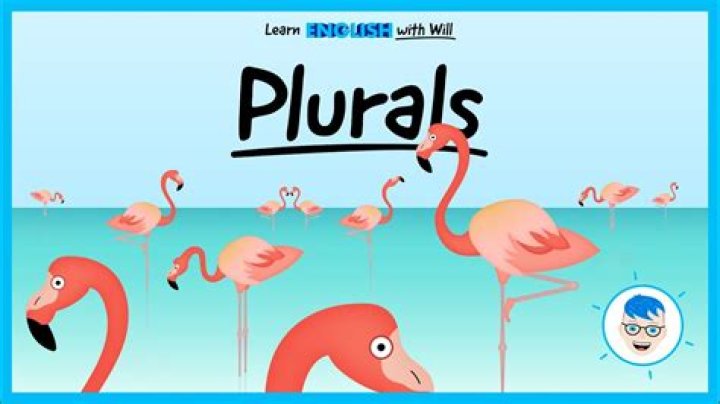 What is the plural of Flamingo?