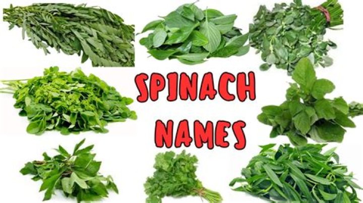 What is the plural of spinach?