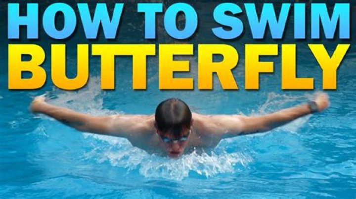 What is the point of butterfly stroke?