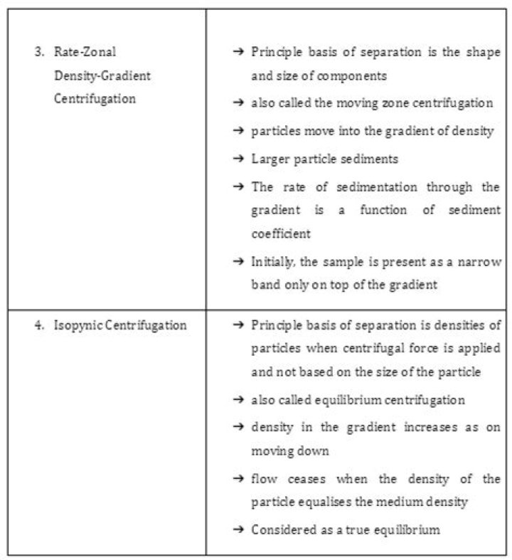 What is the principle of the Burial of the Sardine?