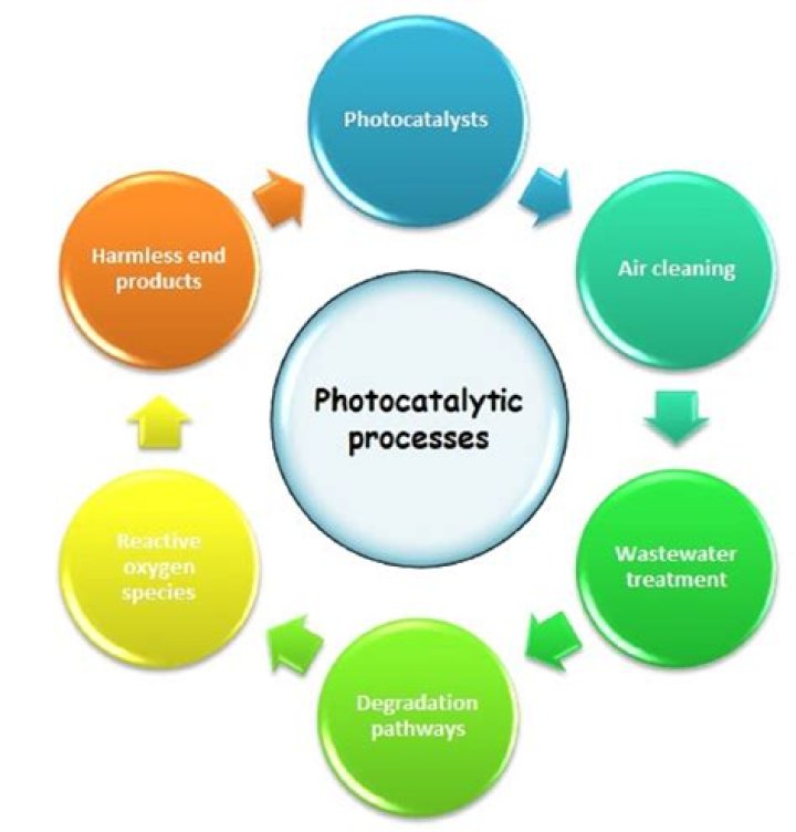 What is the process by which the concentration of a contaminant increases as it moves up the food chain quizlet?