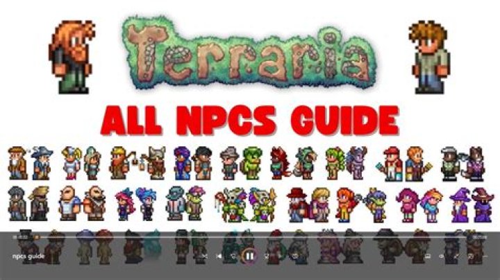What is the rarest NPC in Terraria?
