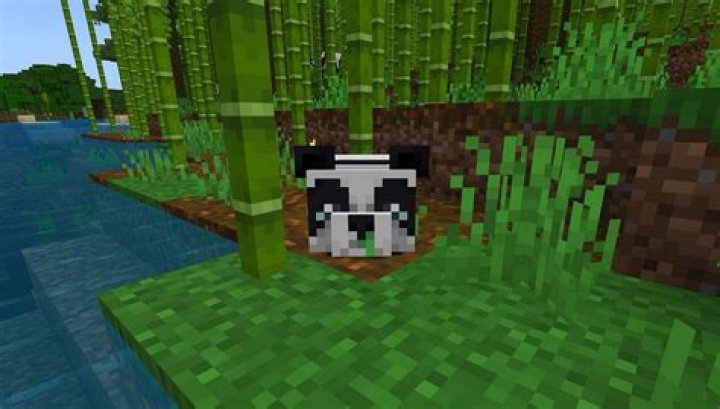 What is the rarest panda in Minecraft?