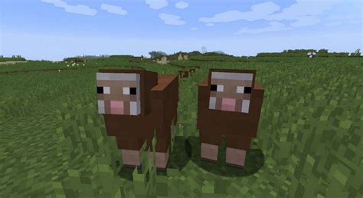 What is the second rarest sheep in Minecraft?