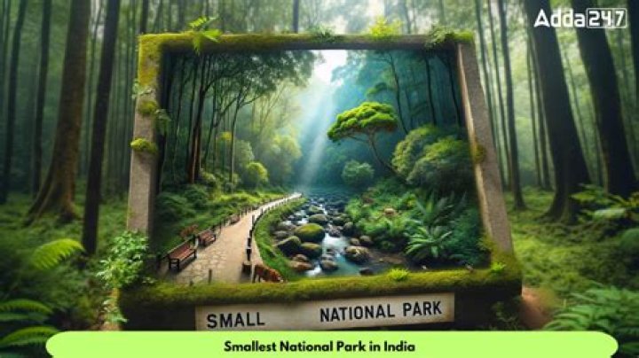 What is the smallest national forest?