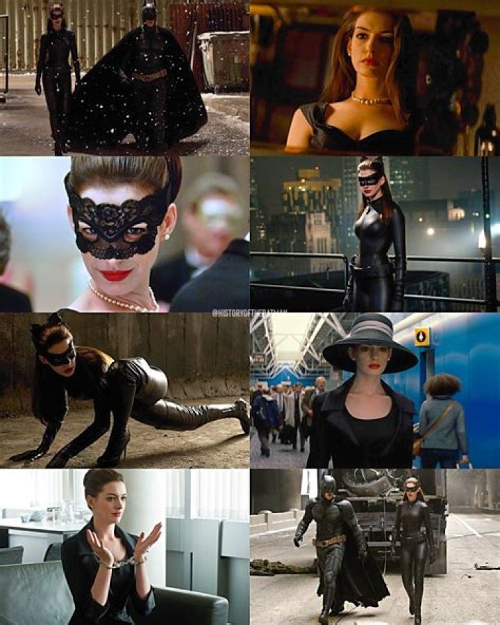 What is the speed of a cat?