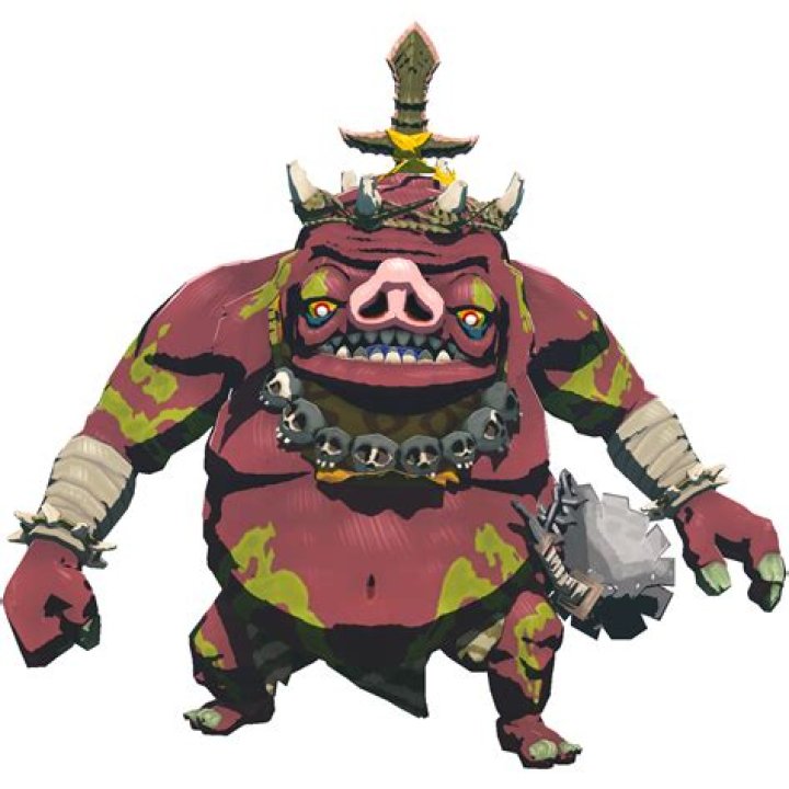 What is the strongest Bokoblin?