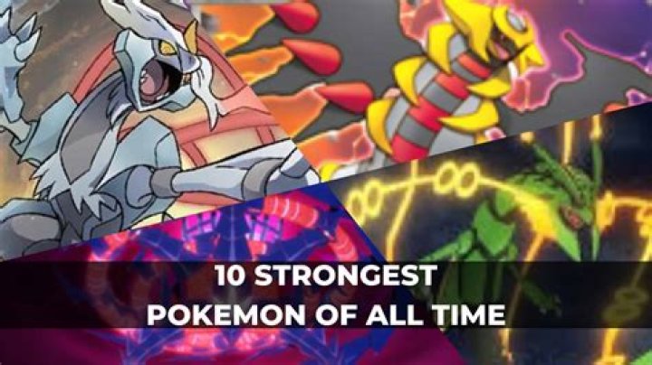 What is the strongest cinnamon?