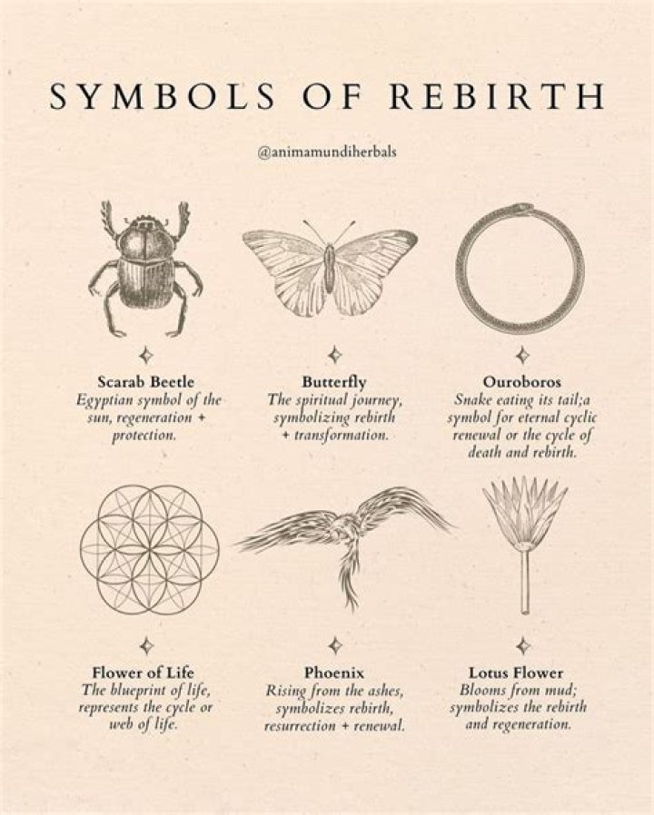 What is the symbol for rebirth?