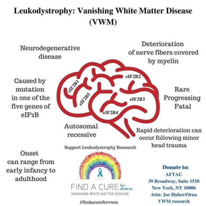What is Vwm disease?