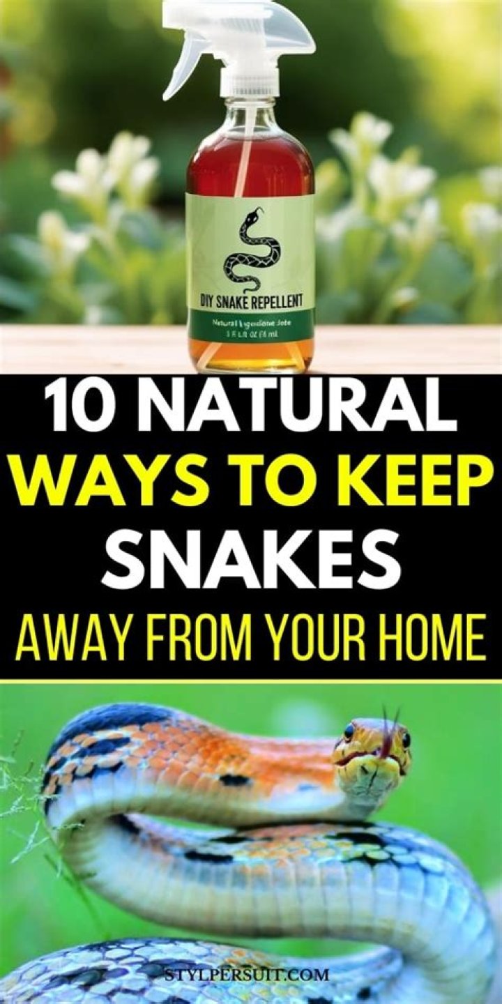 What keeps snakes away from your house and yard?