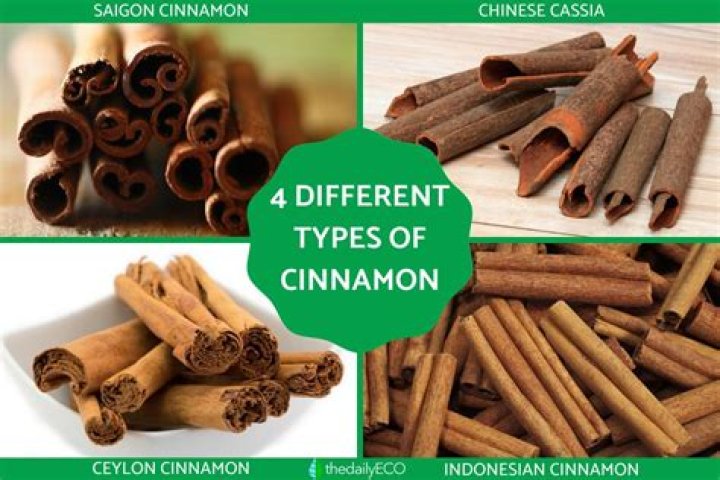 What kind of cinnamon is Saigon cinnamon?