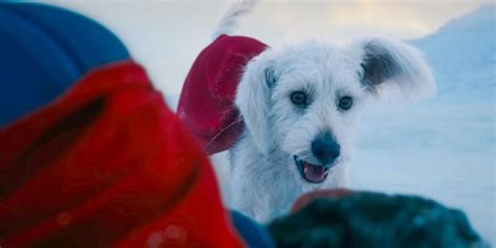 What kind of sun did Krypton have?