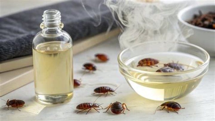 What kind of vinegar kills bed bugs?