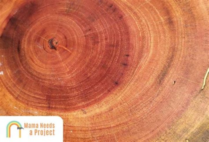 What kind of wood turns red when wet?