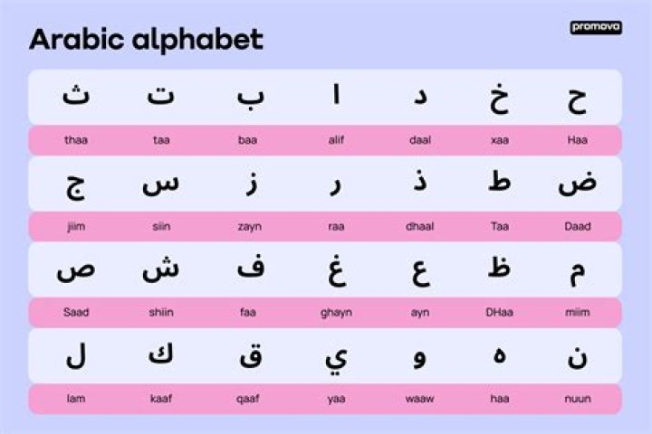 What language does not have an alphabet?