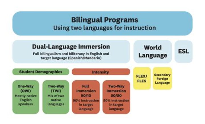 What language will rule the world?