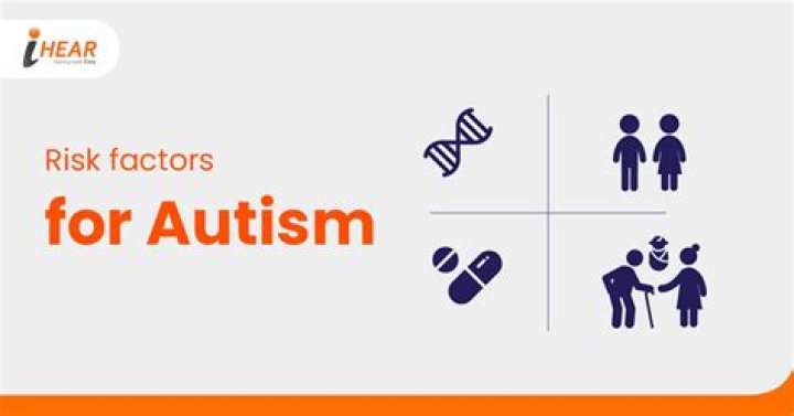 What makes a child high risk for autism?