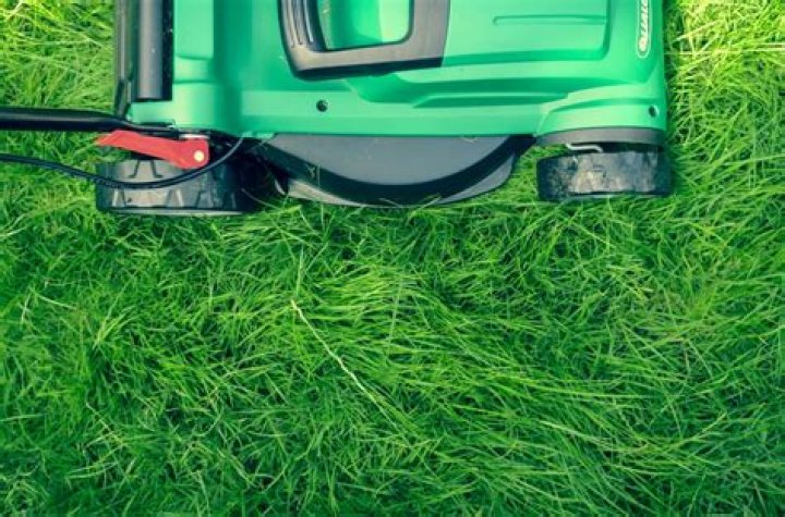 What month should you start mowing your lawn?
