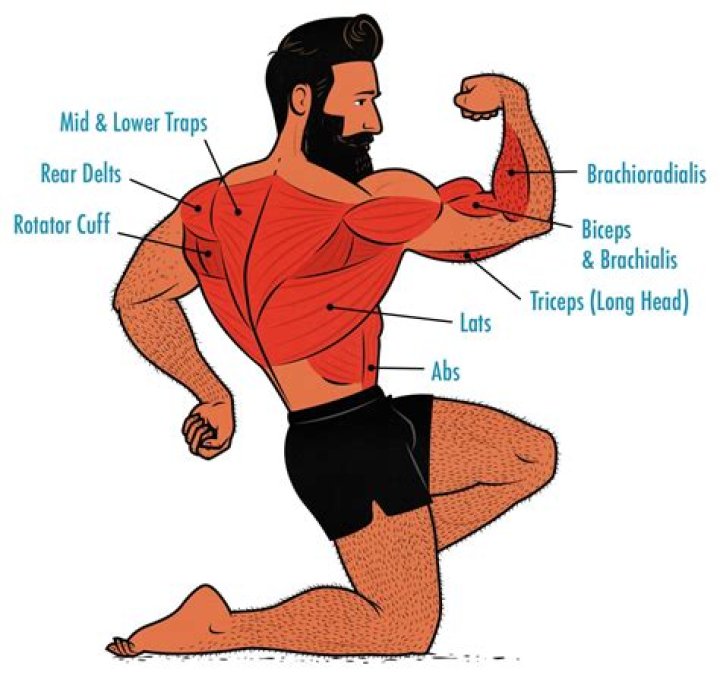 What muscles are used in Dancer Pose?