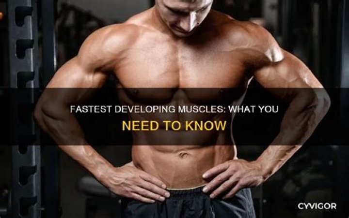 What muscles develop the fastest?