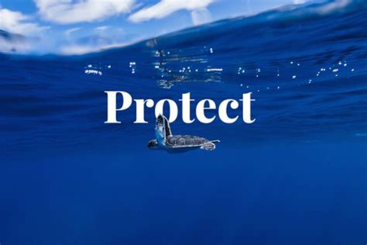 What ocean is Port Protection on?