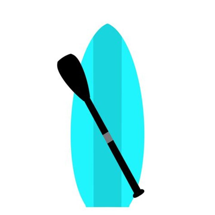 What oil do you use on a paddle?