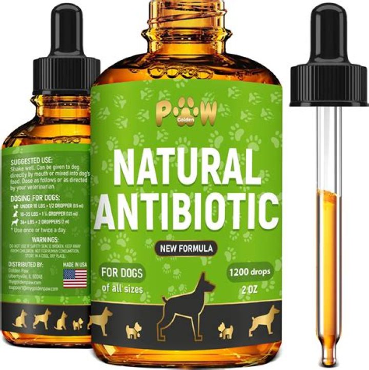 What over the counter antibiotics can I give my dog?