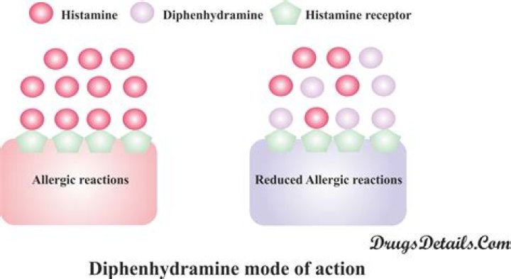 What part of the brain does diphenhydramine affect?