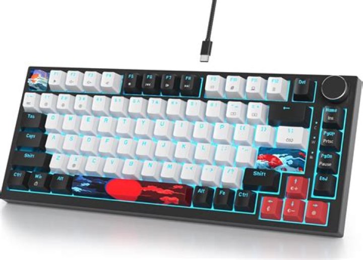 What percent of FL is black?