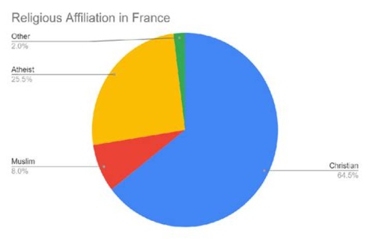 What percent of France is black?